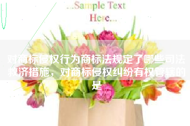 对商标侵权行为商标法规定了哪些司法救济措施,对商标侵权纠纷有权管辖的是 对商标侵权行为商标法规定了哪些司法救济措施,对商标侵权纠纷有权管辖的是