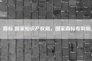 商标 国家知识产权局，国家商标专利局