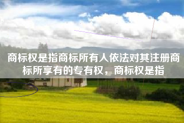 商标权是指商标所有人依法对其注册商标所享有的专有权，商标权是指