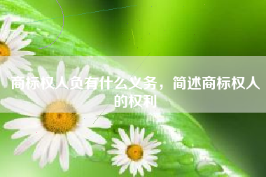 商标权人负有什么义务,简述商标权人的权利 商标权人负有什么义务,简述商标权人的权利