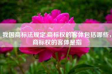 我国商标法规定,商标权的客体包括哪些,商标权的客体是指 我国商标法规定,商标权的客体包括哪些,商标权的客体是指