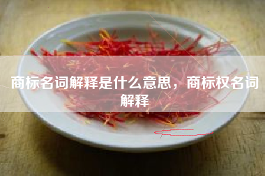 商标名词解释是什么意思,商标权名词解释 商标名词解释是什么意思,商标权名词解释