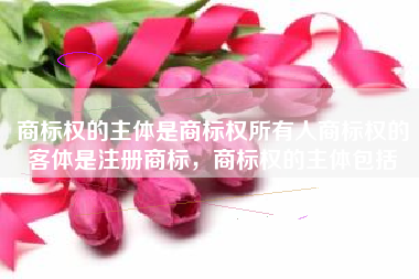 商标权的主体是商标权所有人商标权的客体是注册商标,商标权的主体包括 商标权的主体是商标权所有人商标权的客体是注册商标,商标权的主体包括