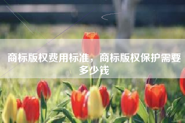 商标版权费用标准,商标版权保护需要多少钱 商标版权费用标准,商标版权保护需要多少钱