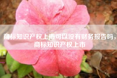 商标知识产权上市可以没有财务报告吗,商标知识产权上市 商标知识产权上市可以没有财务报告吗,商标知识产权上市