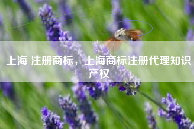 上海 注册商标,上海商标注册代理知识产权 上海 注册商标,上海商标注册代理知识产权