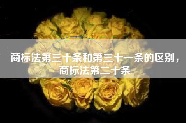 商标法第三十条和第三十一条的区别,商标法第三十条 商标法第三十条和第三十一条的区别,商标法第三十条