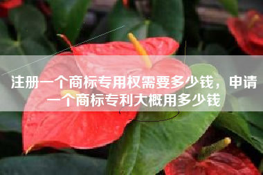 注册一个商标专用权需要多少钱，申请一个商标专利大概用多少钱