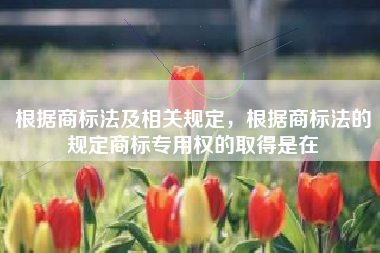 根据商标法及相关规定,根据商标法的规定商标专用权的取得是在 根据商标法及相关规定,根据商标法的规定商标专用权的取得是在