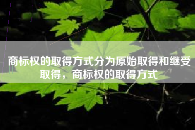 商标权的取得方式分为原始取得和继受取得,商标权的取得方式 商标权的取得方式分为原始取得和继受取得,商标权的取得方式