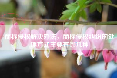 商标侵权解决办法，商标侵权纠纷的处理方式主要有哪几种