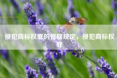 侵犯商标权罪的管辖规定，侵犯商标权罪