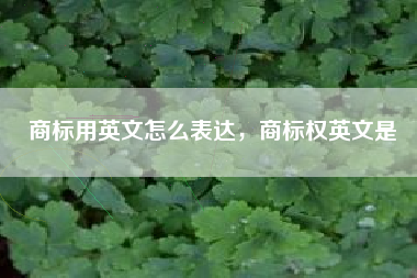 商标用英文怎么表达，商标权英文是