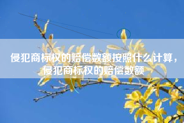 侵犯商标权的赔偿数额按照什么计算，侵犯商标权的赔偿数额