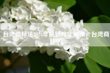 台湾商标法2024年最新规定解读，台湾商标法