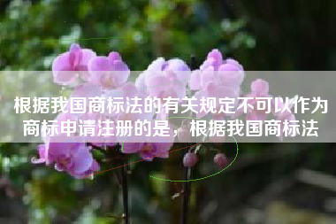 根据我国商标法的有关规定不可以作为商标申请注册的是，根据我国商标法