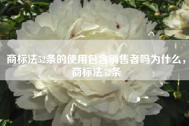 商标法52条的使用包含销售者吗为什么，商标法52条