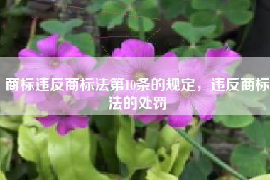 商标违反商标法第10条的规定，违反商标法的处罚