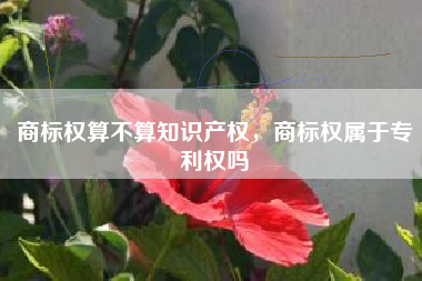 商标权算不算知识产权，商标权属于专利权吗