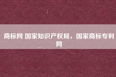 商标网 国家知识产权局，国家商标专利网