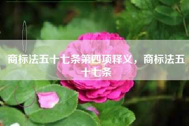 商标法五十七条第四项释义，商标法五十七条