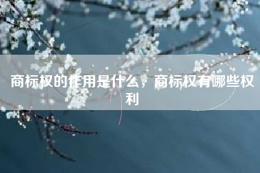 商标权的作用是什么，商标权有哪些权利