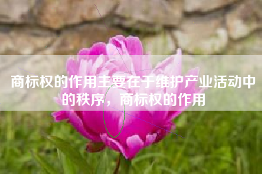 商标权的作用主要在于维护产业活动中的秩序，商标权的作用