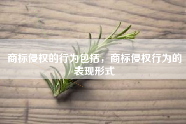 商标侵权的行为包括，商标侵权行为的表现形式