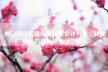 转让商品的商标使用权会计分录，转让商品的商标权是什么收入