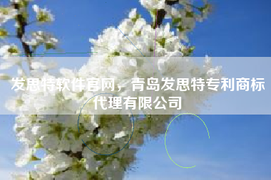 发思特软件官网，青岛发思特专利商标代理有限公司