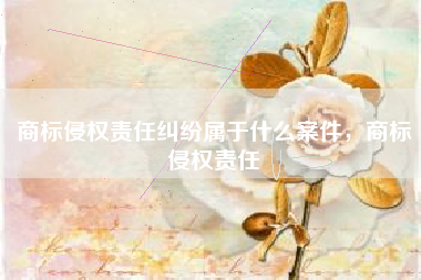 商标侵权责任纠纷属于什么案件，商标侵权责任