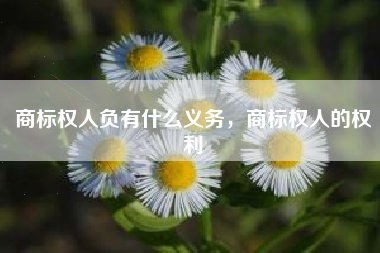 商标权人负有什么义务，商标权人的权利