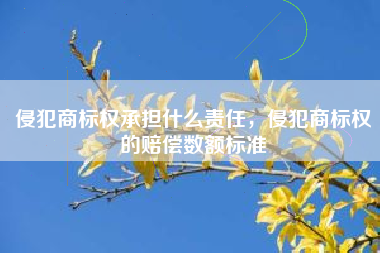 侵犯商标权承担什么责任，侵犯商标权的赔偿数额标准