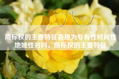 商标权的主要特征表现为专有性时间性地域性对吗，商标权的主要特征