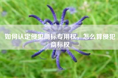 如何认定侵犯商标专用权，怎么算侵犯商标权