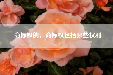 商标权的，商标权包括哪些权利