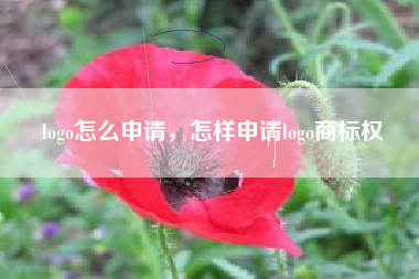 logo怎么申请，怎样申请logo商标权