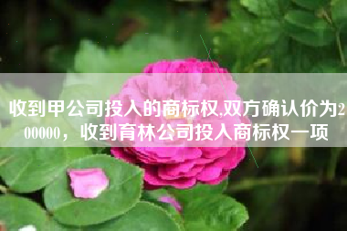 收到甲公司投入的商标权,双方确认价为200000，收到育林公司投入商标权一项