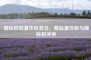 商标权和著作权竞合，商标著作权与商标权冲突