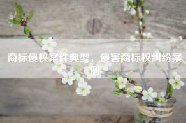 商标侵权案件典型，侵害商标权纠纷案例