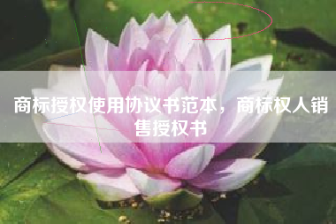 商标授权使用协议书范本，商标权人销售授权书