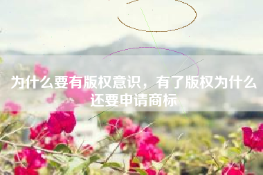 为什么要有版权意识，有了版权为什么还要申请商标