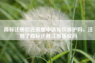 商标注册后还需要申请版权保护吗，注册了商标还要注册版权吗