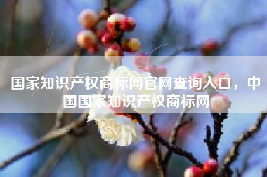 国家知识产权商标网官网查询入口，中国国家知识产权商标网