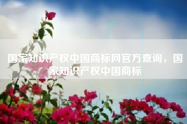 国家知识产权中国商标网官方查询，国家知识产权中国商标