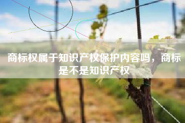 商标权属于知识产权保护内容吗，商标是不是知识产权
