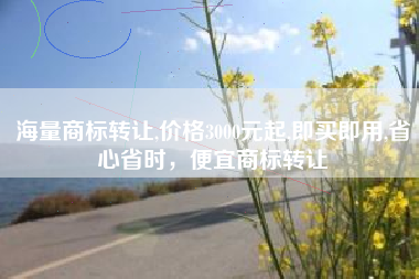 海量商标转让,价格3000元起,即买即用,省心省时，便宜商标转让