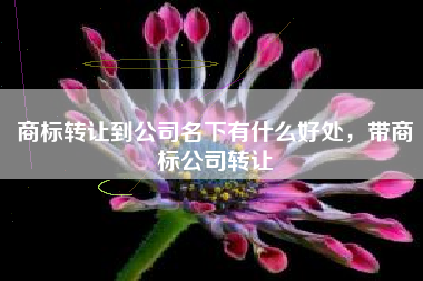 商标转让到公司名下有什么好处，带商标公司转让