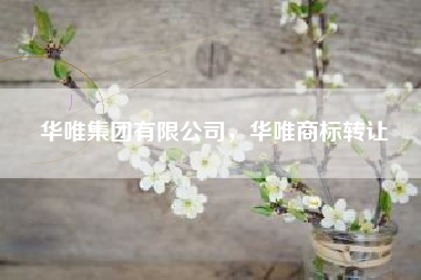华唯集团有限公司，华唯商标转让