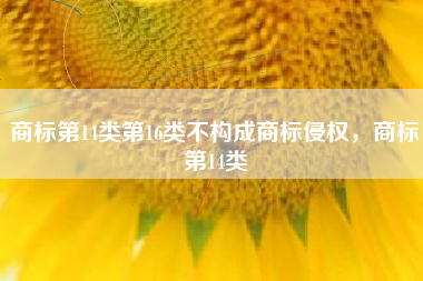 商标第14类第16类不构成商标侵权，商标第14类